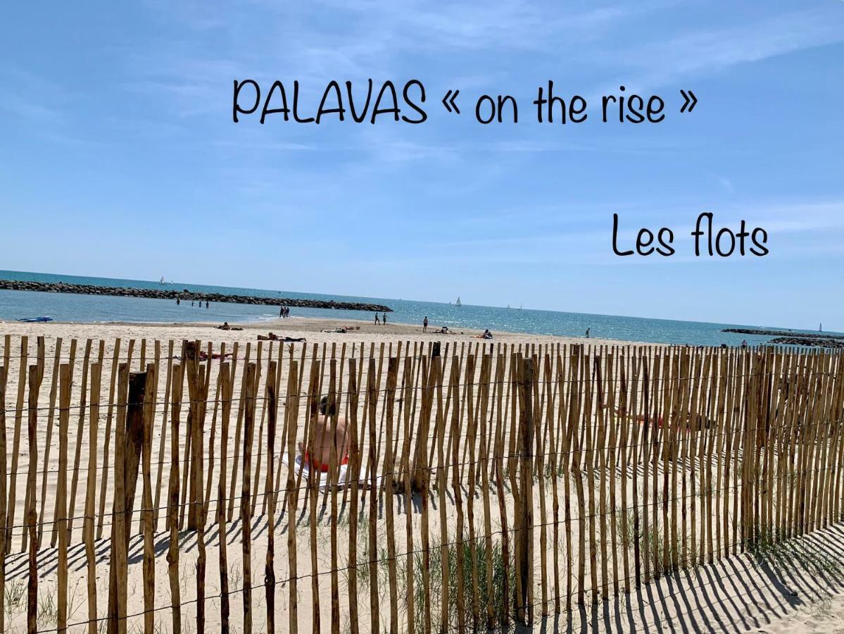 Amerique Hotel Palavas - Piscine - Plage ภายนอก รูปภาพ